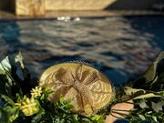 Sabonetes Personalizados para Casamento em Paulo Afonso