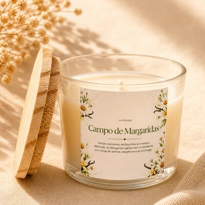 Campo de Margarida - 450